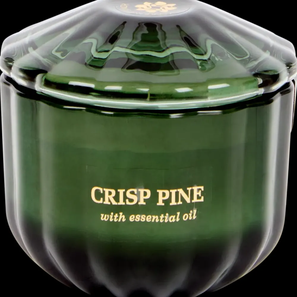 Tous Les Articles Habitat|Bougies< Bougie parfumée | Action FR