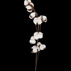 Tous Les Articles Habitat|Plantes Et Fleurs Artificielles< Branche de coton | Action FR