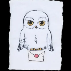 Tous Les Articles Hobby|Coloriage Et Dessin<Harry Potter Carnet de notes A5 | Action FR