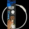 Tous Les Articles Animaux Domestiques|Accessoires Pour Animaux Domestiques< Collier LED rechargeable pour chien | Action FR