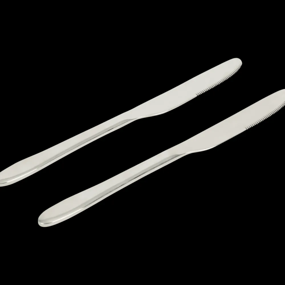 Tous Les Articles Cuisine|Couverts< Couteaux Silver 2 Pièces | Action FR