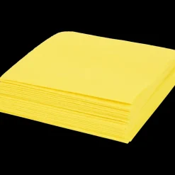 Tous Les Articles Articles Ménagers|Articles De Nettoyage<Action Lavettes en viscose | FR