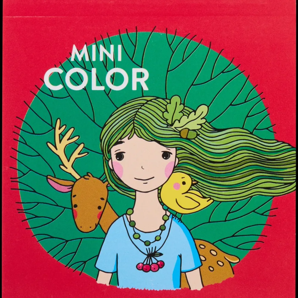 Bricolage< Mini-livre de coloriage | Action FR