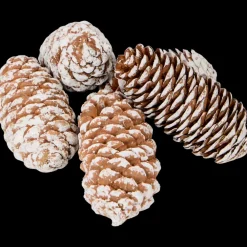 Tous Les Articles Habitat|Accessoires Pour La Maison< Mélange décoratif | Action FR