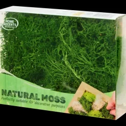 Décoration Saisonnière< Mousse décorative | Action FR