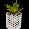 Plantes Et Fleurs Artificielles< Plante grasse artificielle en pot | Action FR