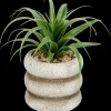 Tous Les Articles Habitat|Plantes Et Fleurs Artificielles< Plante grasse artificielle dans pot | Action FR
