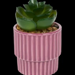 Tous Les Articles Habitat|Plantes Et Fleurs Artificielles< Plante grasse artificielle en pot | Action FR