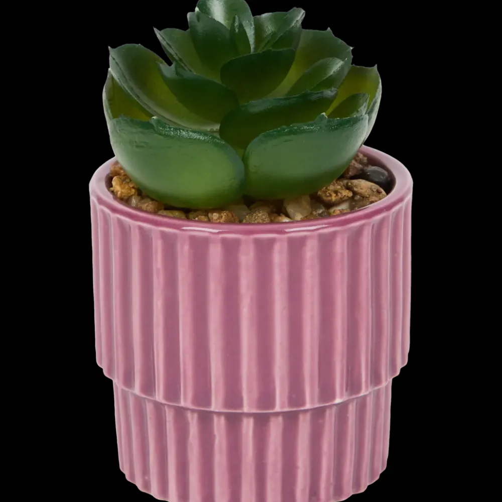 Tous Les Articles Habitat|Plantes Et Fleurs Artificielles< Plante grasse artificielle en pot | Action FR