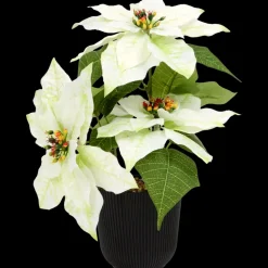 Tous Les Articles Habitat|Plantes Et Fleurs Artificielles< Étoile de Noël artificielle Home Accents | Action FR